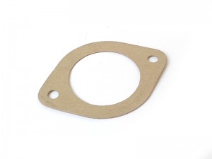 Thermostat Gasket (3000)